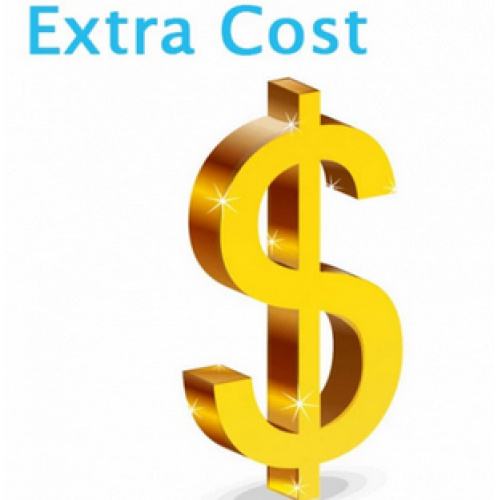 extra cost