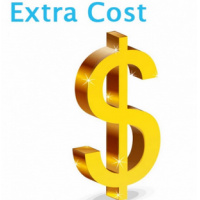 extra cost